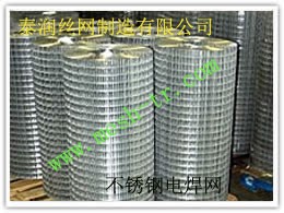 供应不锈钢电焊网